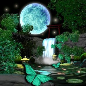 Meet your Posher, Sammi